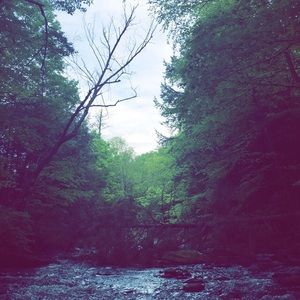 Meet your Posher, Rhiannon